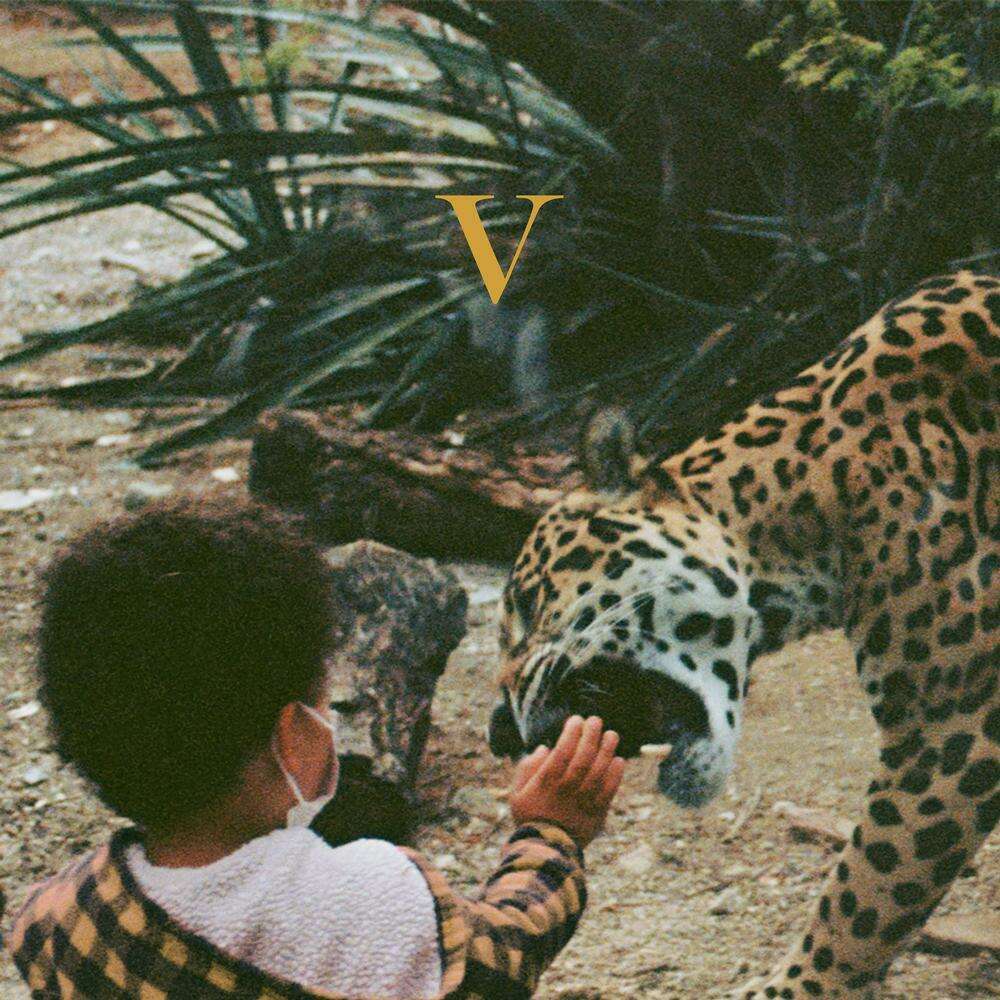 v---unknown-mortal-orchestra-35936389