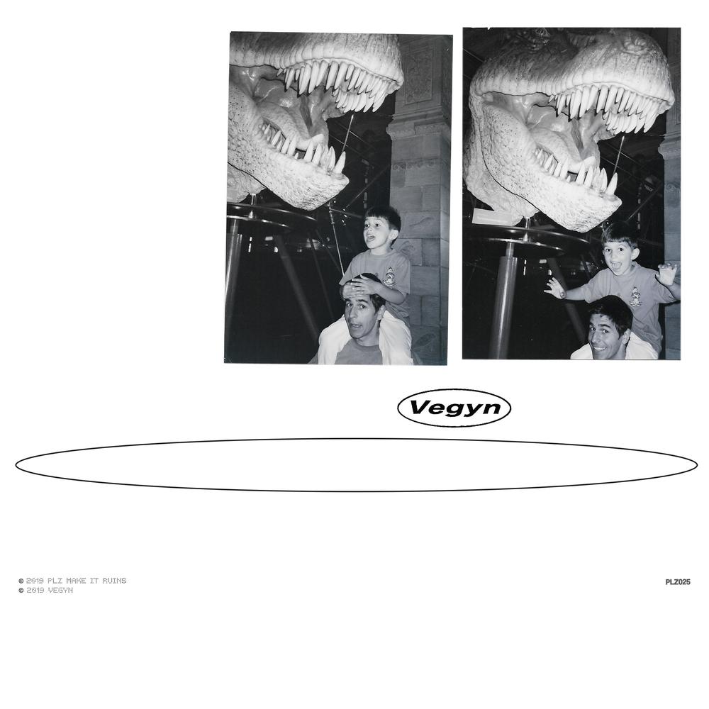 Only Diamonds Cut Diamonds - Vegyn (Repress Vinyl)