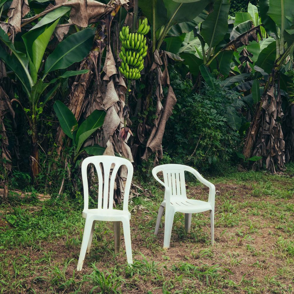 Debí Tirar Más Fotos - Bad Bunny (Opaque White Vinyl)