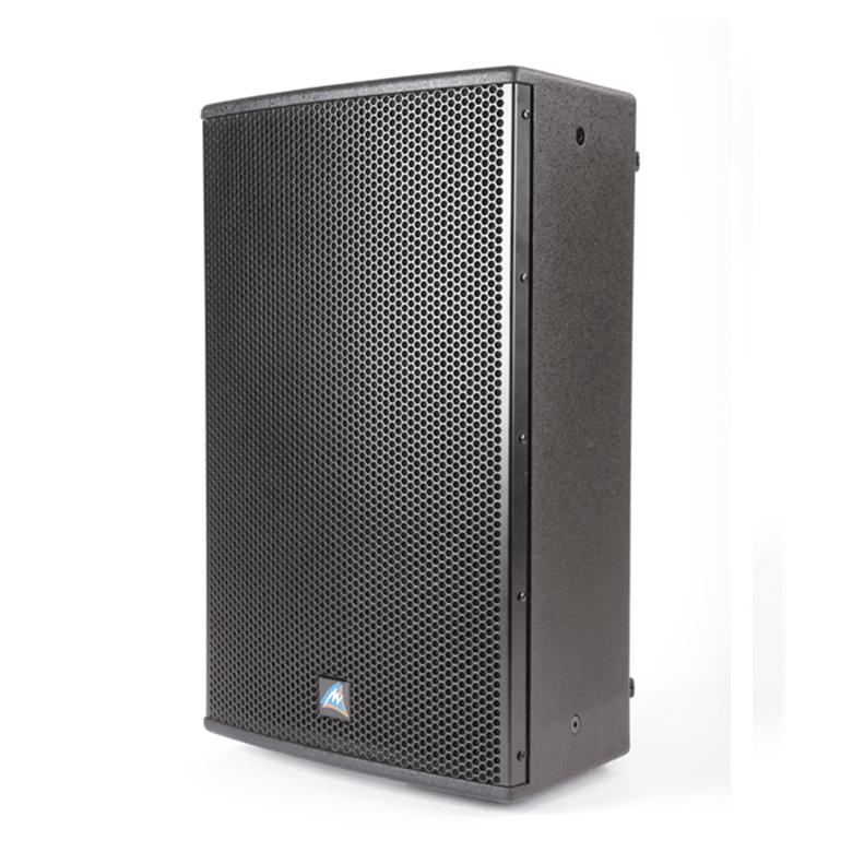 Australian Monitor XDS12 12 inch Passive Speaker (each)-Cannon Sound And Light