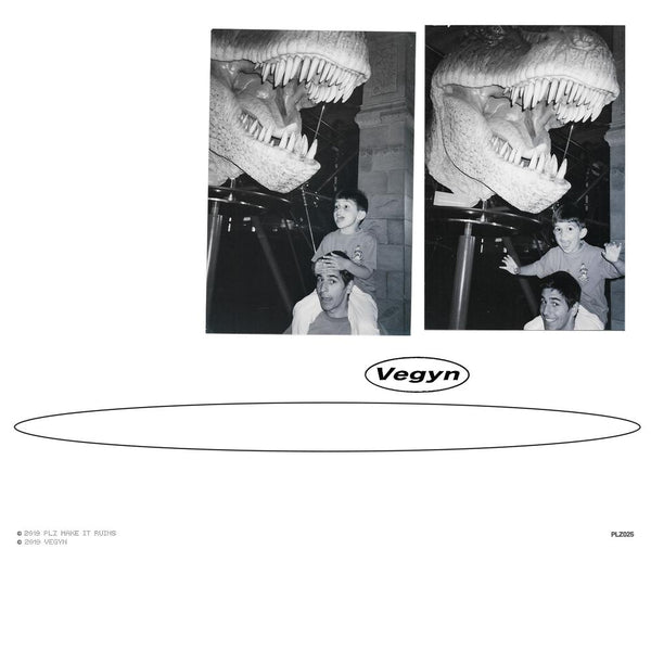 Only Diamonds Cut Diamonds - Vegyn (Repress Vinyl)-Cannon Sound And Light