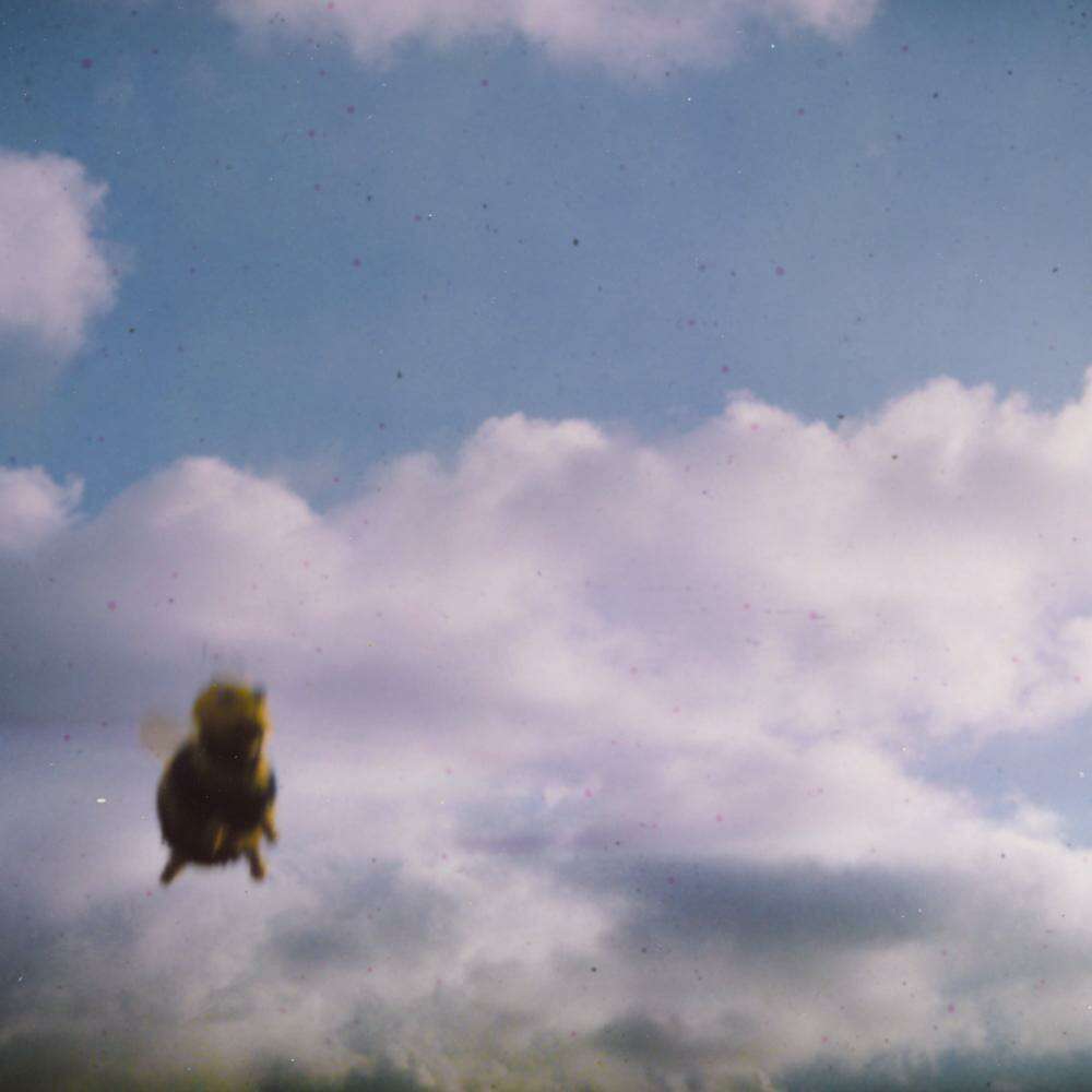 Stung! - Pond (Bee Splatter Vinyl)-Cannon Sound And Light