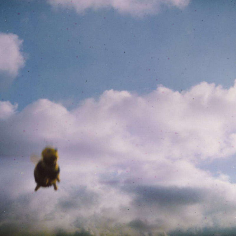 Stung! - Pond (Bee Splatter Vinyl)-Cannon Sound And Light