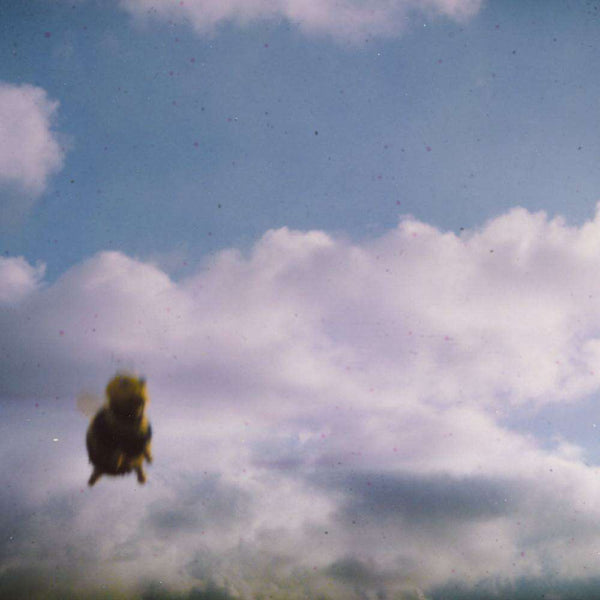 Stung! - Pond (Bee Splatter Vinyl)-Cannon Sound And Light